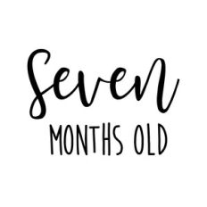 Seven months old