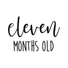 Eleven months old