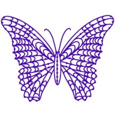 Lace Butterfly