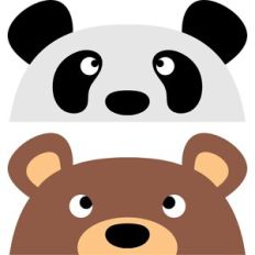 bear borders