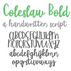 PN Coleslaw Bold