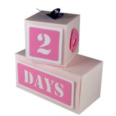 Baby Days and Weeks Block Set