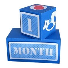 Baby Months and Years Block Set