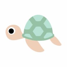 Cute turtle