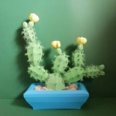 Nopal Cactus