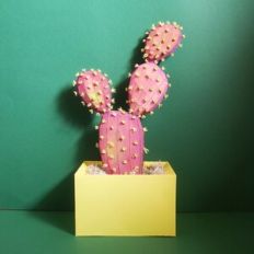 Prickly Pear Cactus