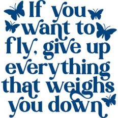 Want To Fly