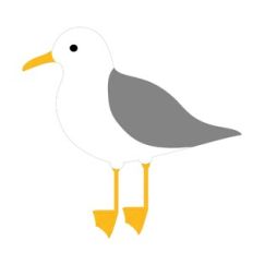 Seagull