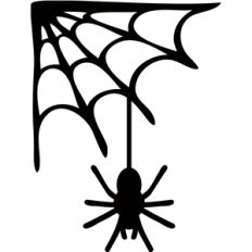 spider and web