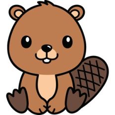 Beaver