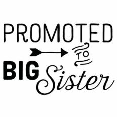 Promoted to Big Sister Arrow Quote