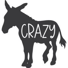 Crazy