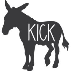 Kick