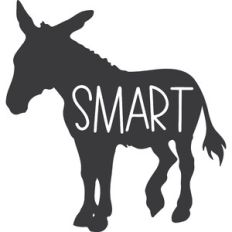 Smart