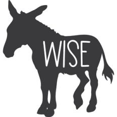 Wise