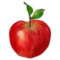 Watercolor Back To School or Teachers Red Apple Fruit Print and Cut