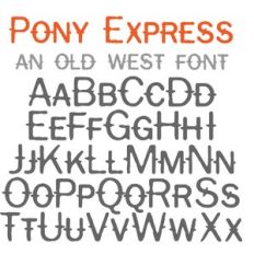 ZP Pony Express