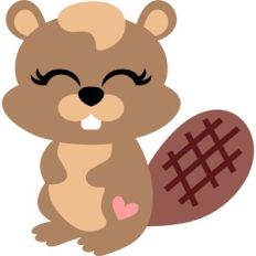 little beaver