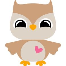 little owl