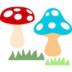 mushrooms set