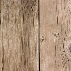 Light Wood Grain Texture