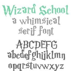 ZP Wizard School