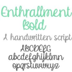 ZP Enthrallment Bold