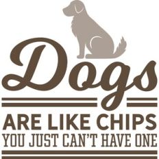 dogs are like chips you just can't have one