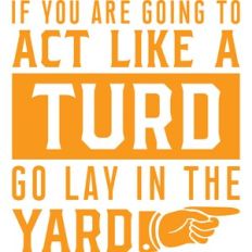 if you are going to act like a turd