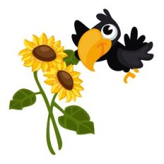 Sunflowers and Crow
