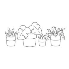 Boho Plants Line Art