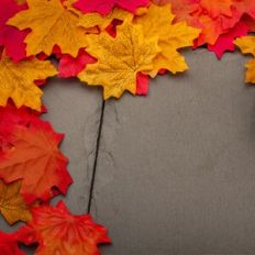 Fall Leaves Background