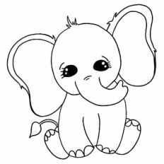 Cute Elephant