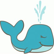 whale