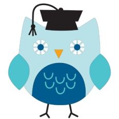 Graduation Owl