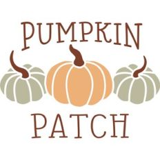 Pumpkin Patch