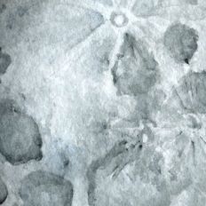 Watercolor Moon Texture
