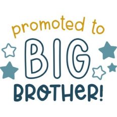 Promoted to Big Brother