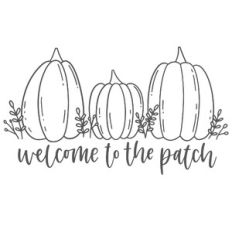 Welcome to the Patch Pumpkins