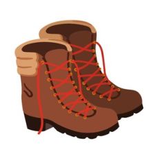 Hiking Boots