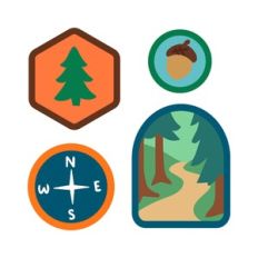 Trees and Compass Badges