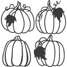 Pumpkin Bundle