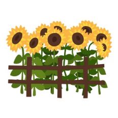 Sunflower Patch