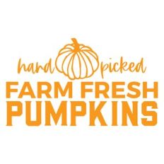 Farm Fresh Pumpkins