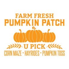 Pumpkin Patch