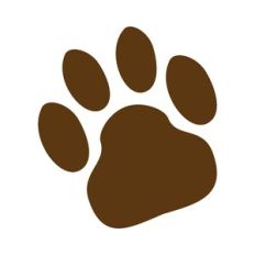 Bear Claw