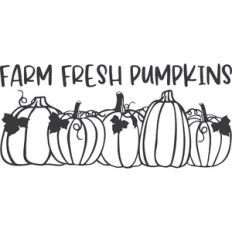 Farm Fresh Pumpkins