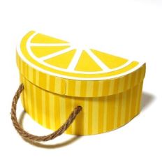 Lemon suitcase