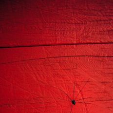 Creepy Spider Background