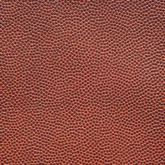 Football Texture